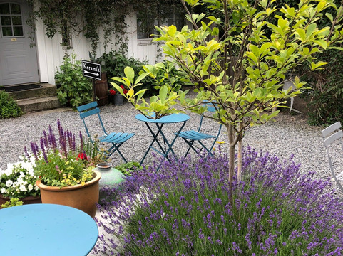 艾里斯托尔普酒店主图