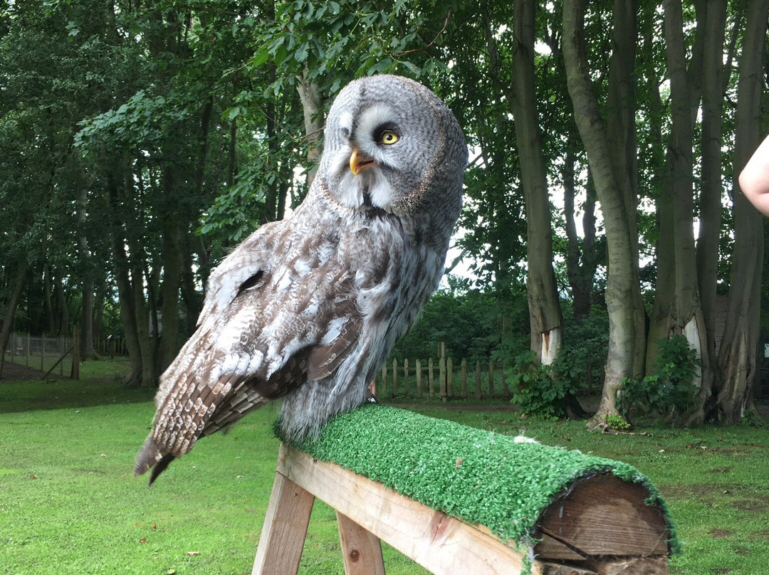 Bridlington Animal Park景点图片