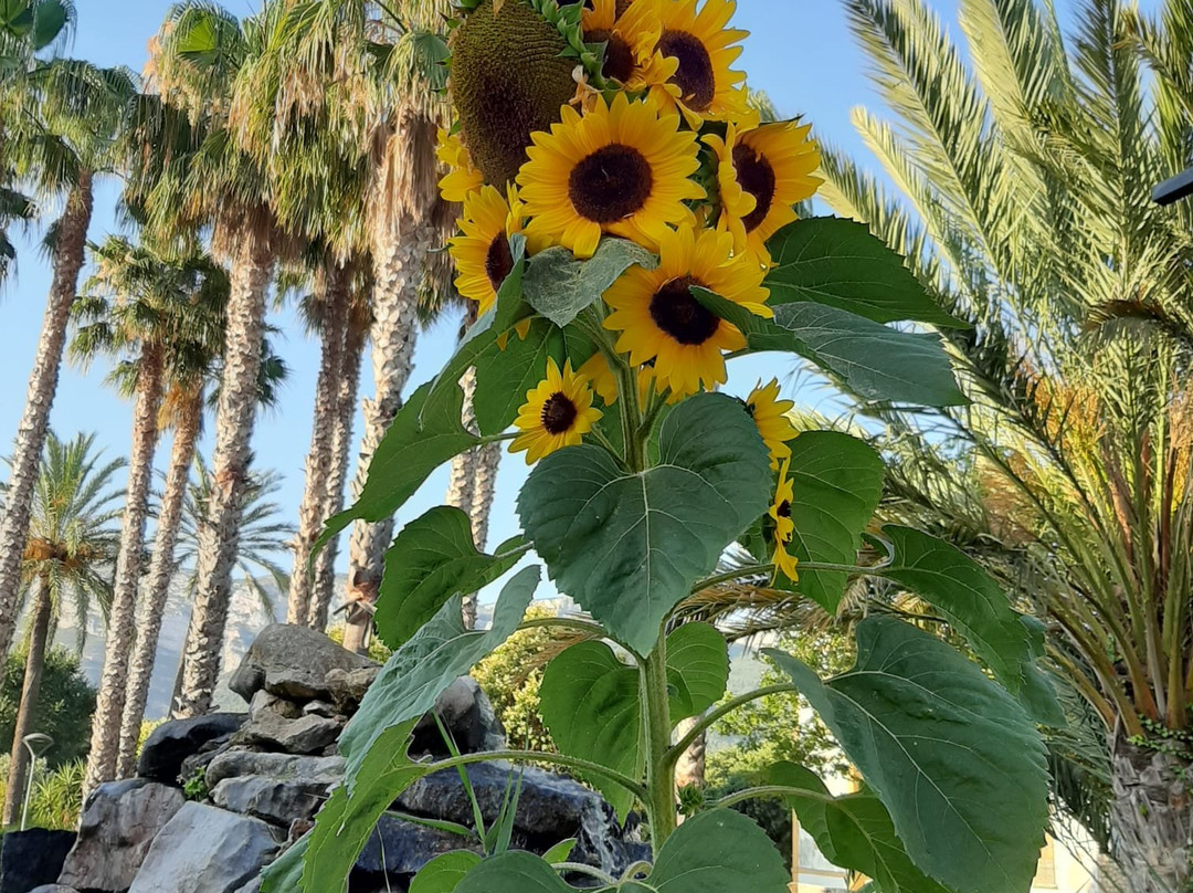 Torrecremada Park-德尼亚必去景点