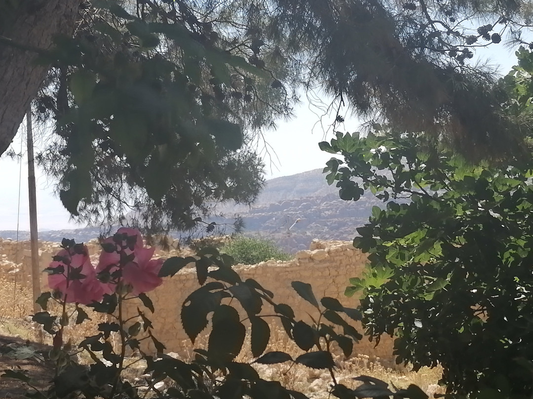 Dana Moon Hotel主图