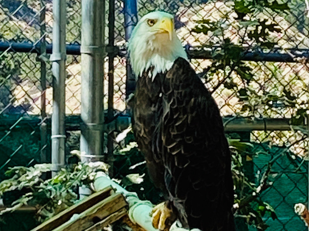 Wildhaven Ranch-箭头湖必去景点