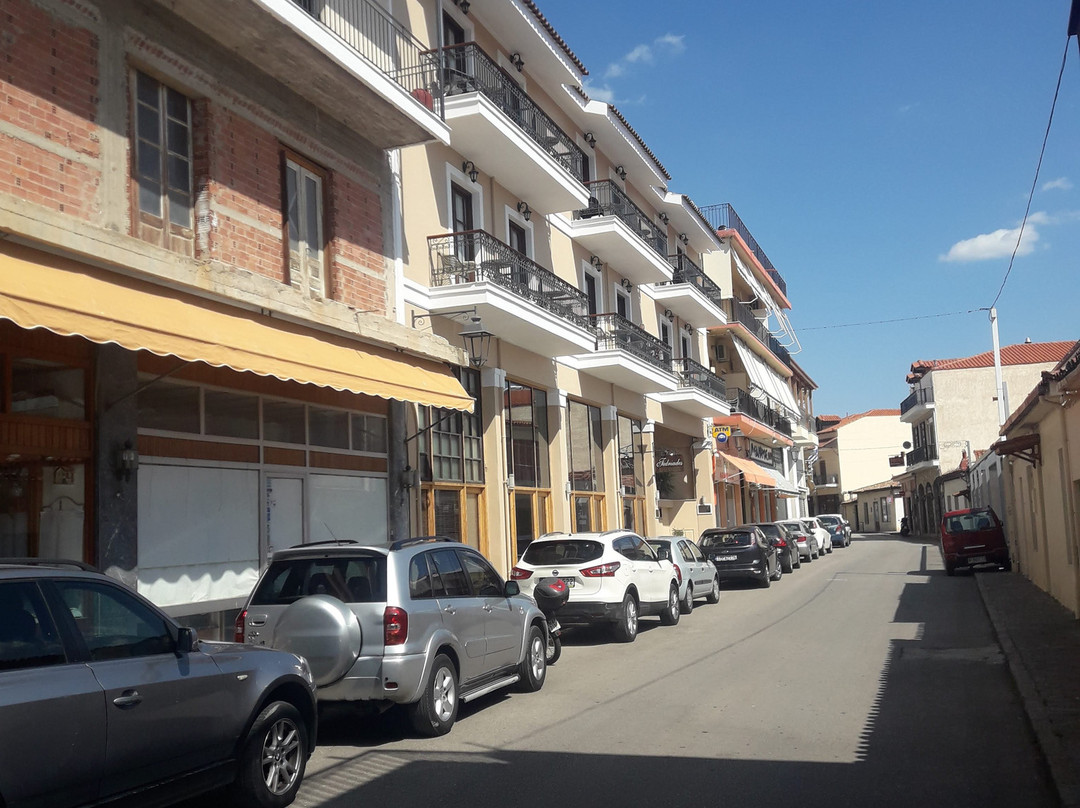 费德雷亚迪斯德尔菲酒店主图