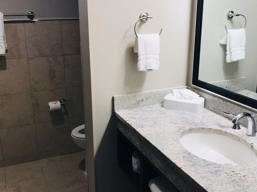 Drury Plaza Hotel Dallas Richardson主图