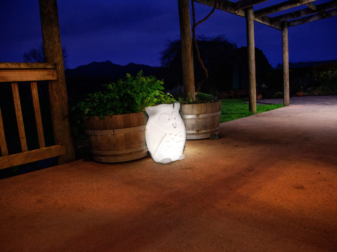 Sanctuary Lodge Maungatautari
