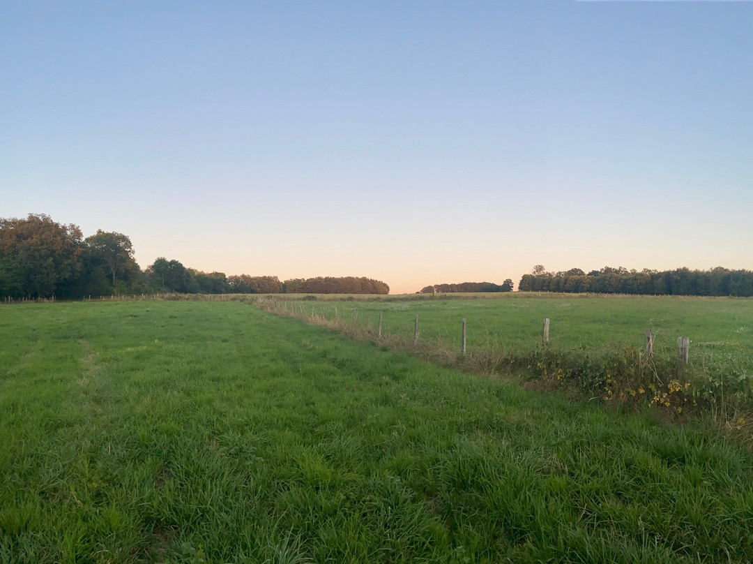 Le Domaine Du Pompinaud主图