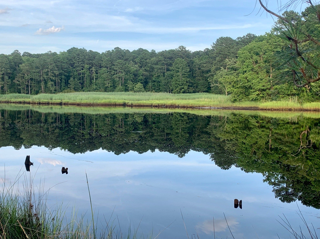 Deep Creek Park景点图片