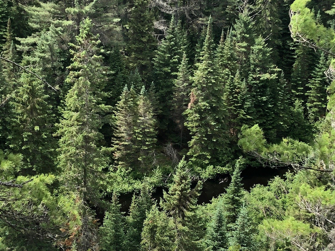 Two Rivers Trail-阿冈昆公园必去景点