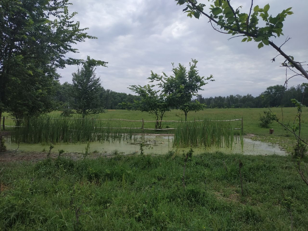 Beremytske Nature Park-Beremetskoye必去景点