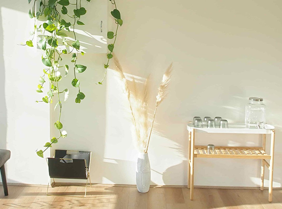 Motion Myotherapy-Northcote必去景点