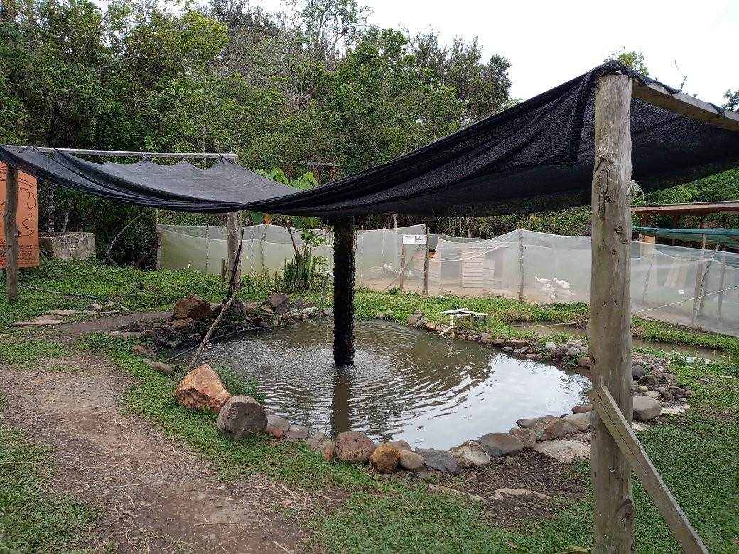 Mirador las Oropendolas