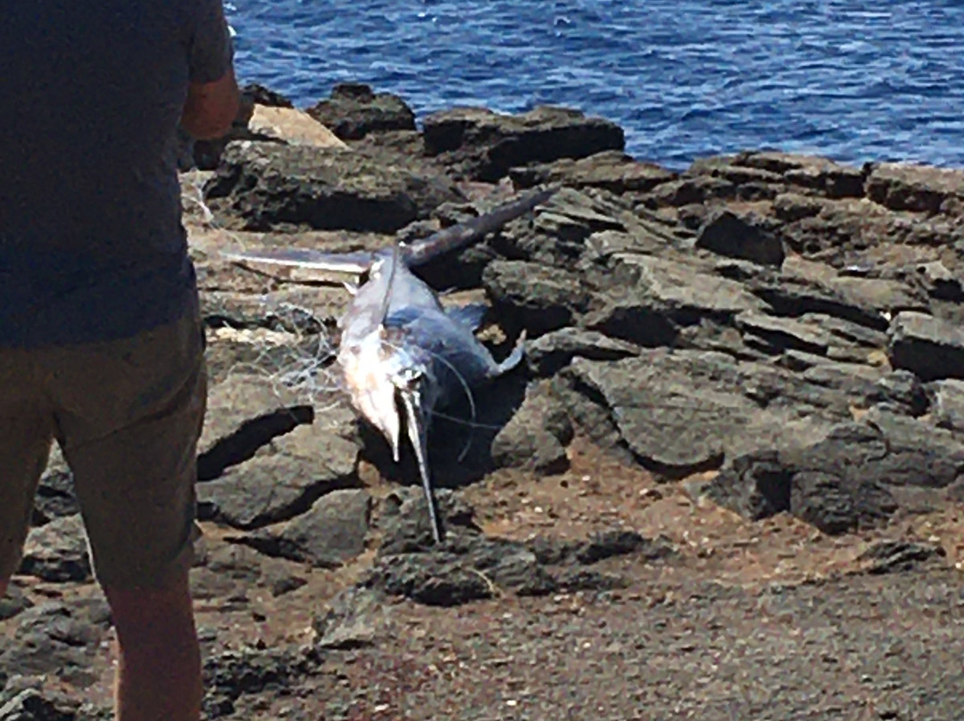 Ka Lae-纳勒胡必去景点