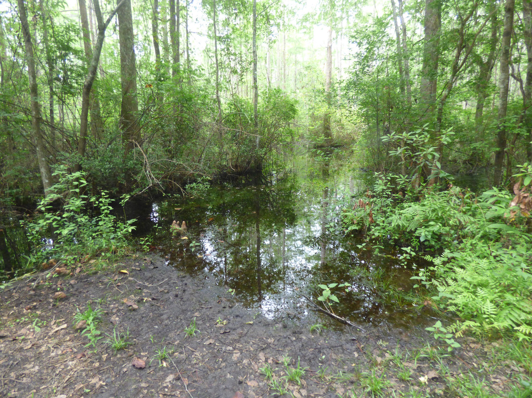 Woods Bay State Park景点图片