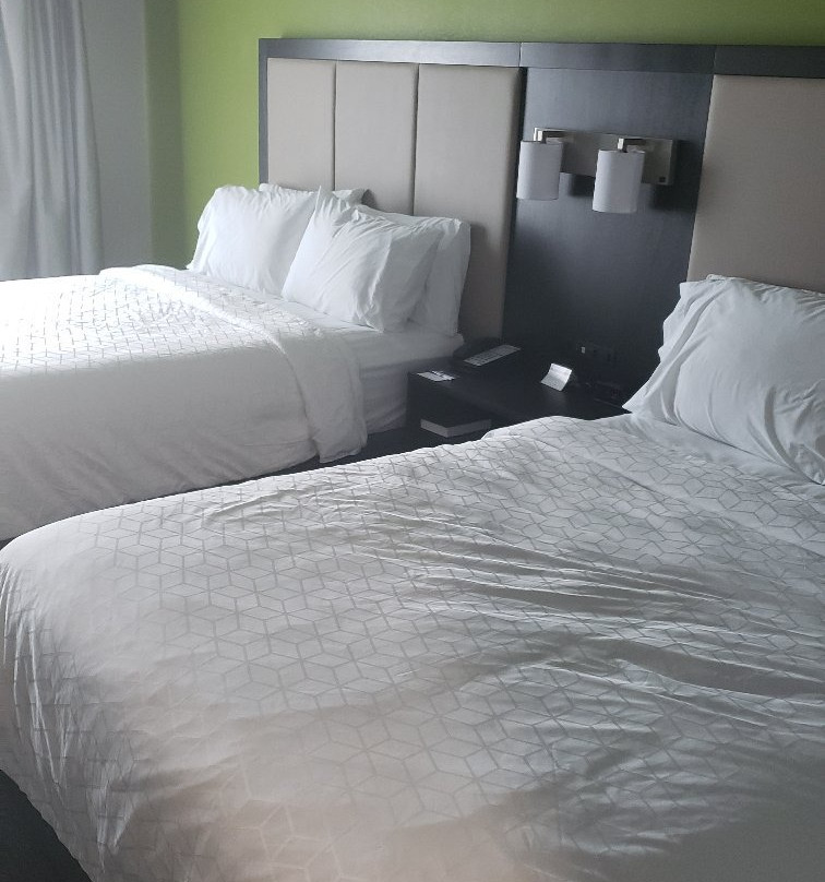 Holiday Inn Express & Suites Pearland by IHG主图