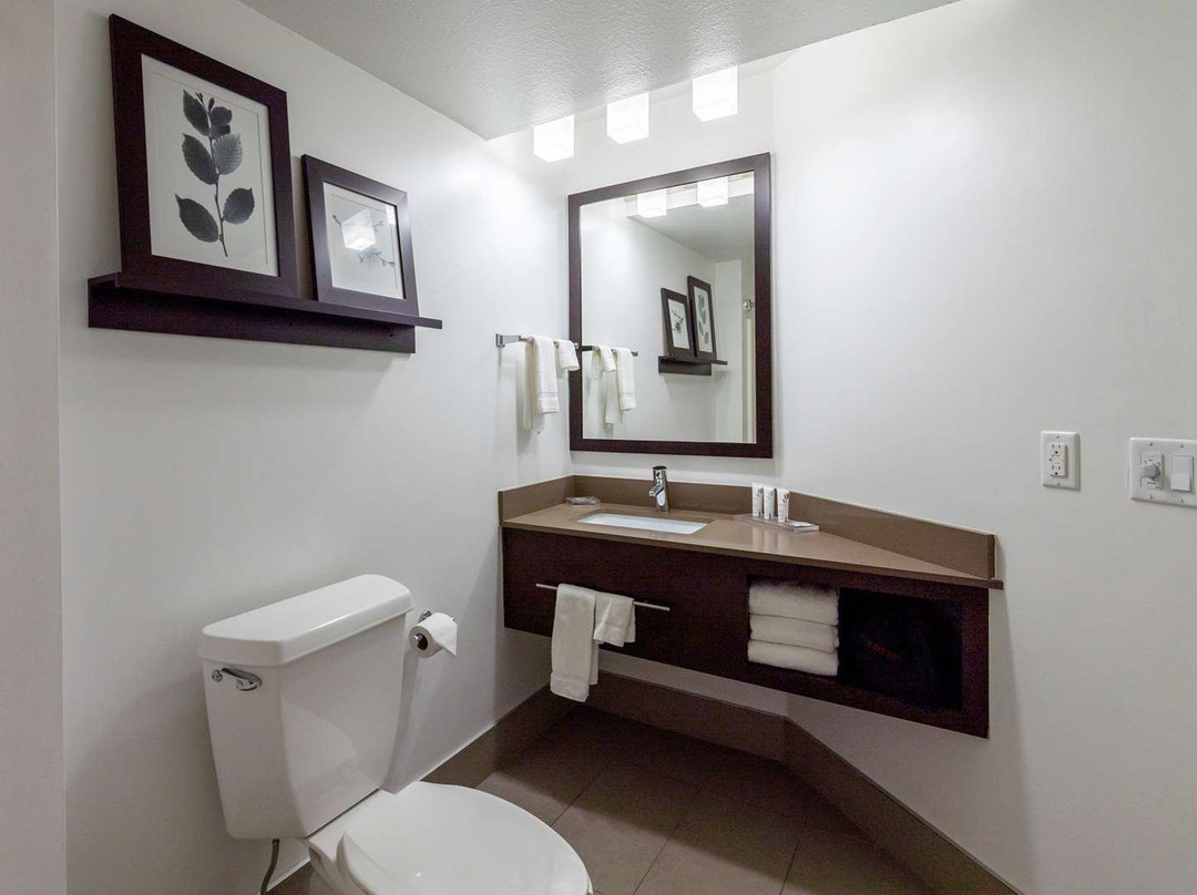 Country Inn & Suites by Radisson, Appleton, WI主图