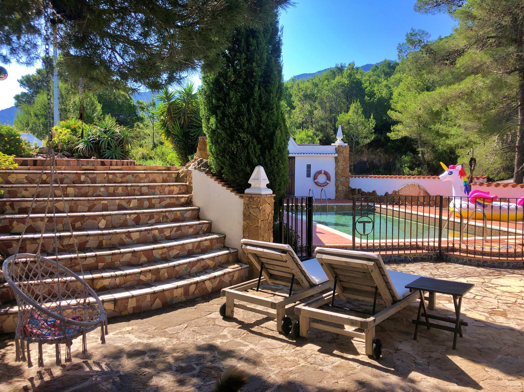 Casa Tarsan Vegan Eco Lodge主图