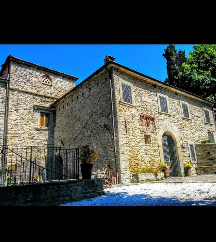Villa di Gruffieto景点图片