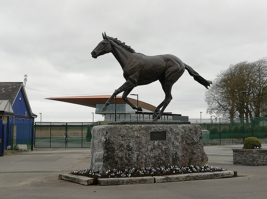 The Curragh Racecourse景点图片