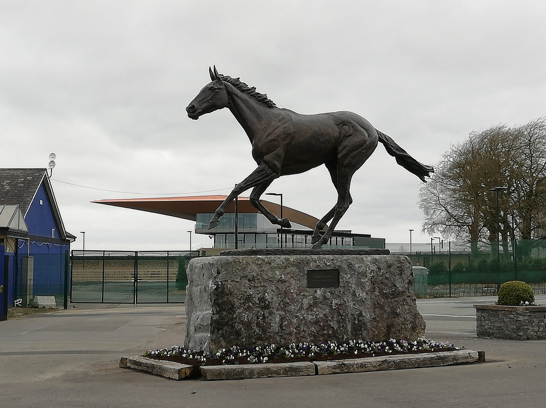 The Curragh Racecourse-基尔代尔郡必去景点