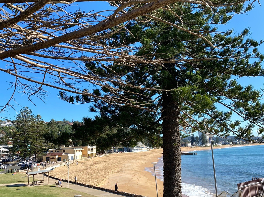 Collaroy Beach景点图片
