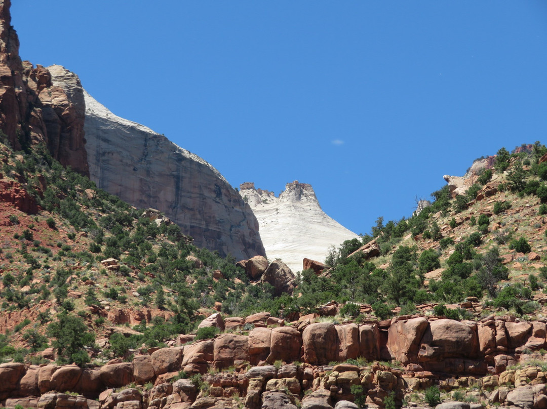 Zion Human History Museum-斯普林代尔必去景点