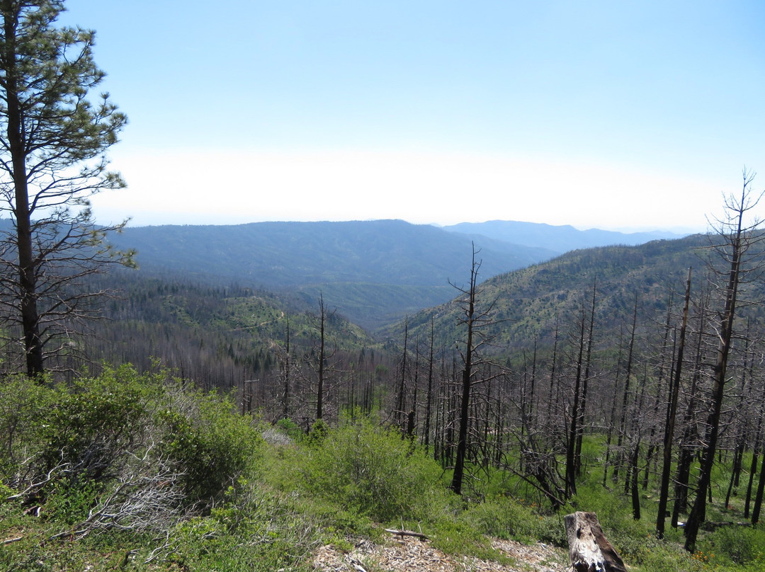 McGee Vista Point-Hume必去景点