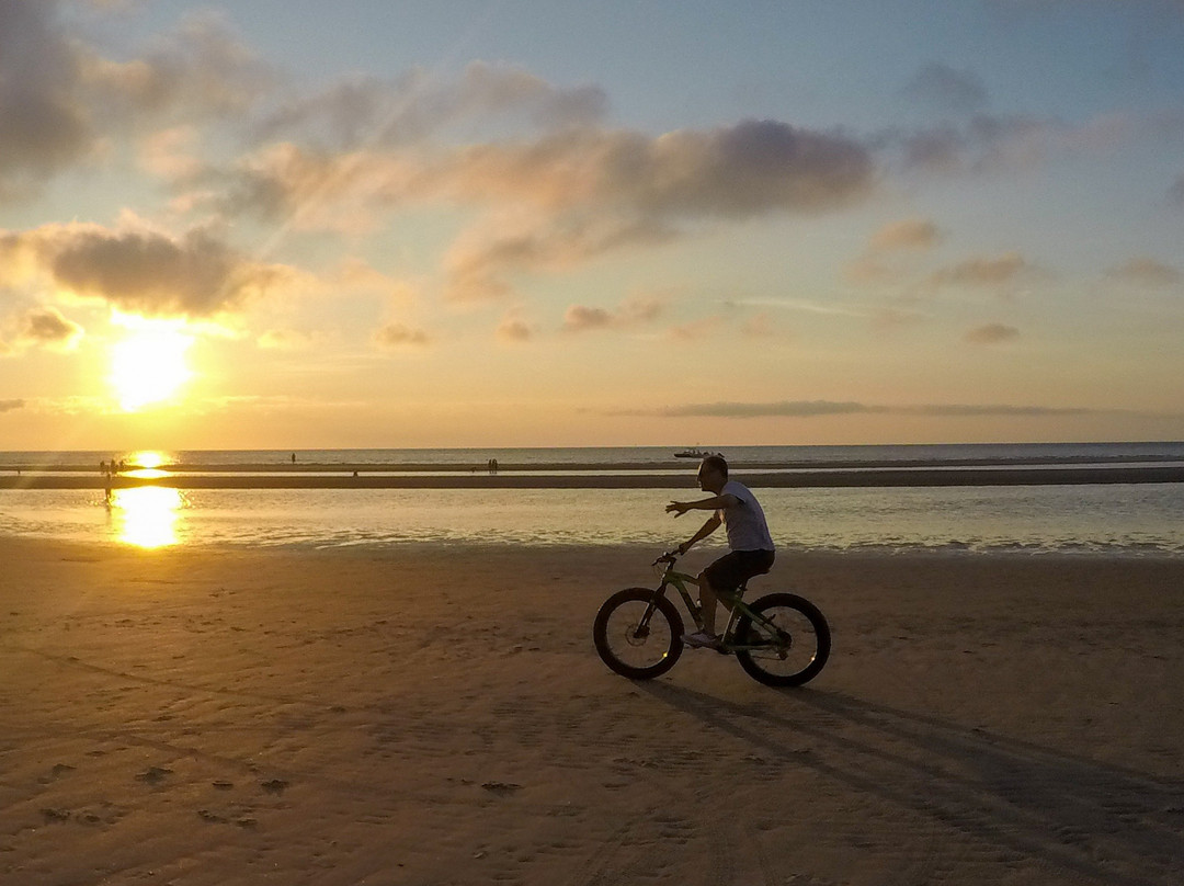 Knockabout Travel-Mashpee必去景点