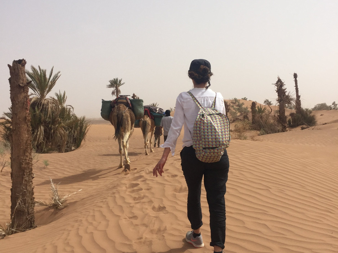 Sahara Espace-迈哈米德必去景点