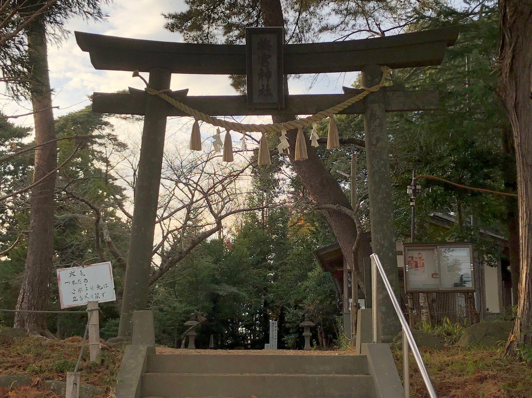 Umenomiya Shrine景点图片