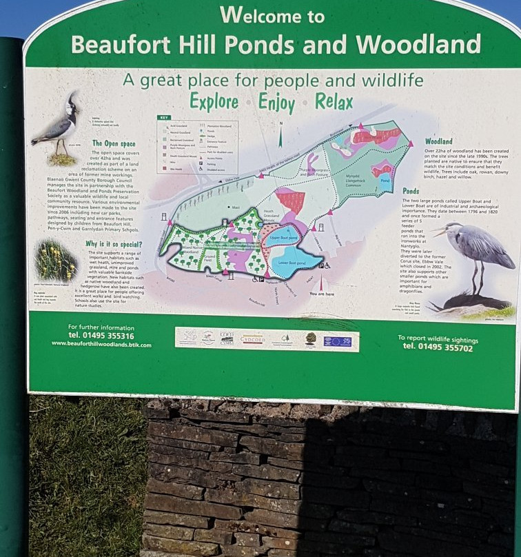 Beaufort Hill Ponds And Woodlands景点图片
