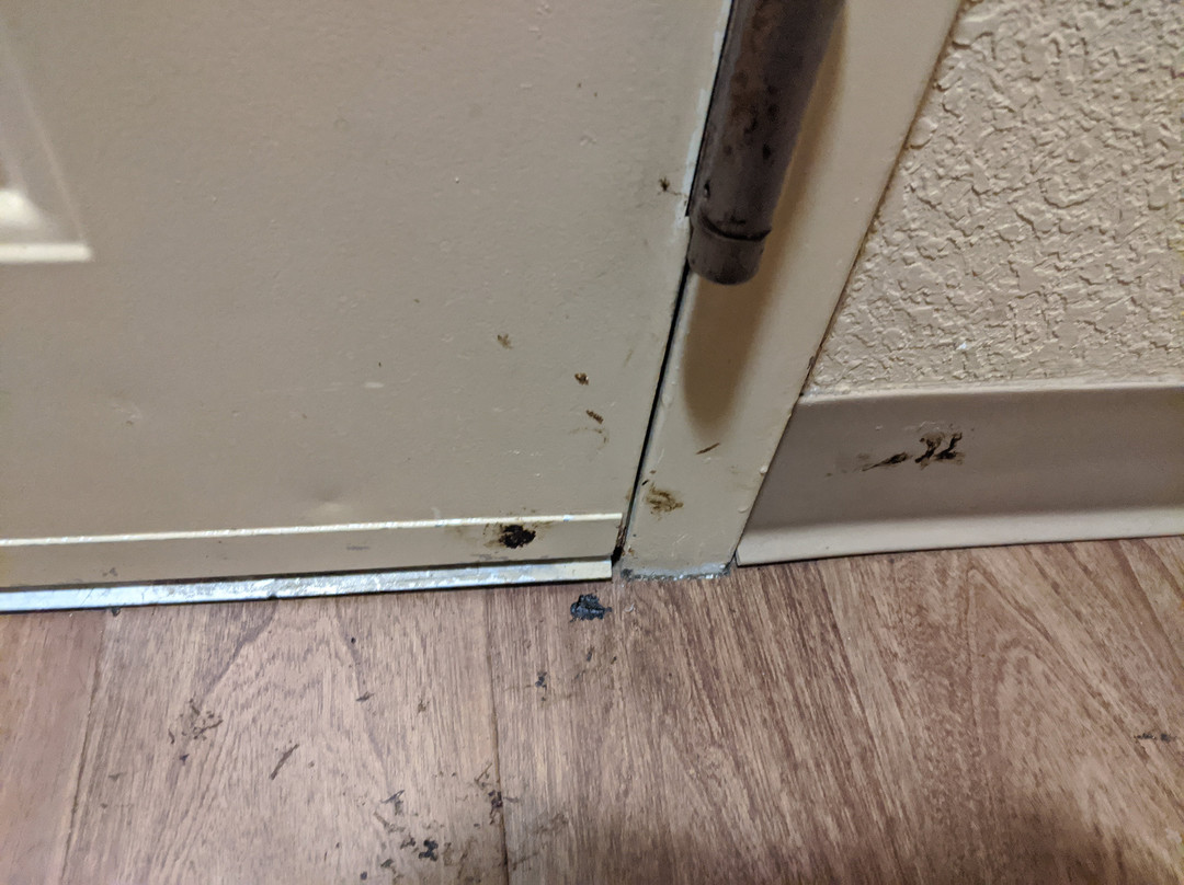 Extended Stay America - St. Louis - Westport - Central主图