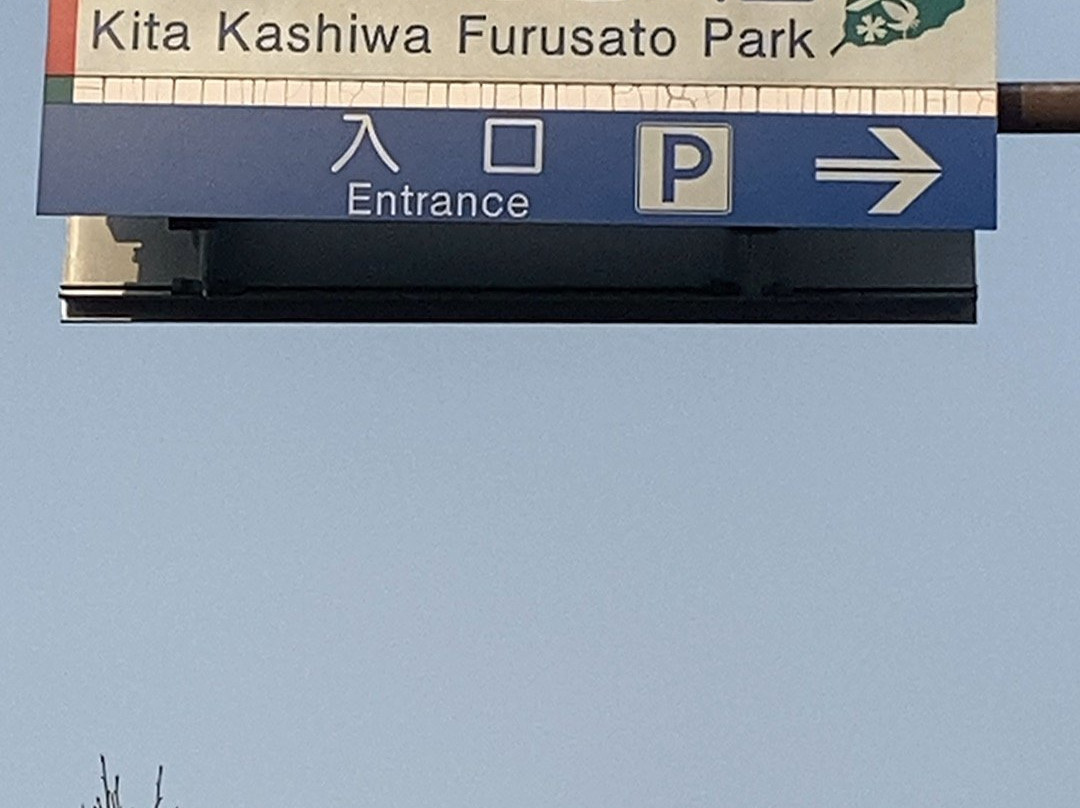 Kitakashiwa Furusato Park-柏市必去景点