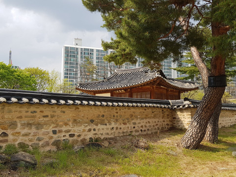 Hoedeok Dongchundang-大田必去景点