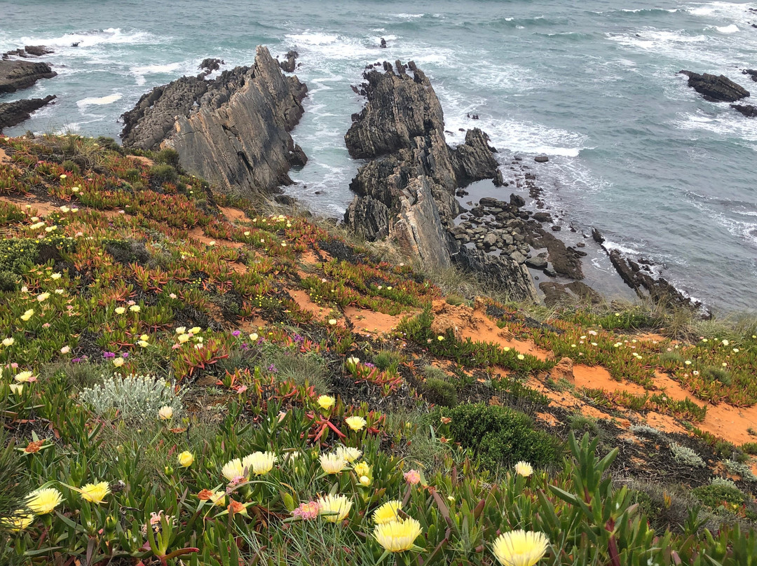 Cape Sardão景点图片