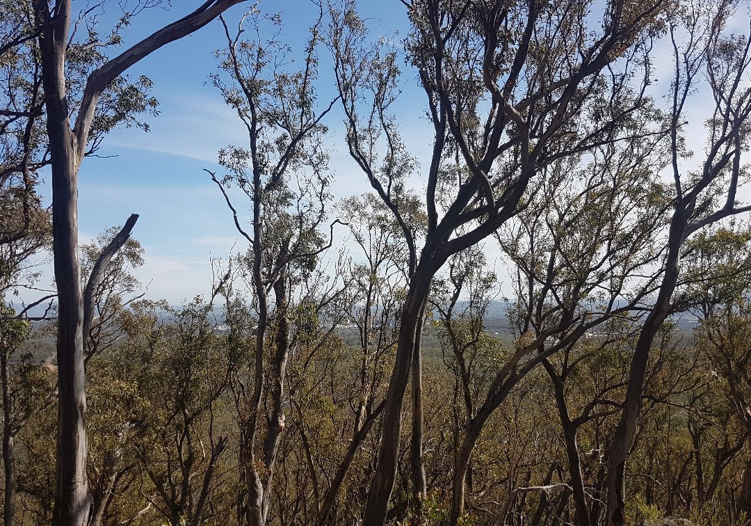 Black Mountain Nature Park景点图片