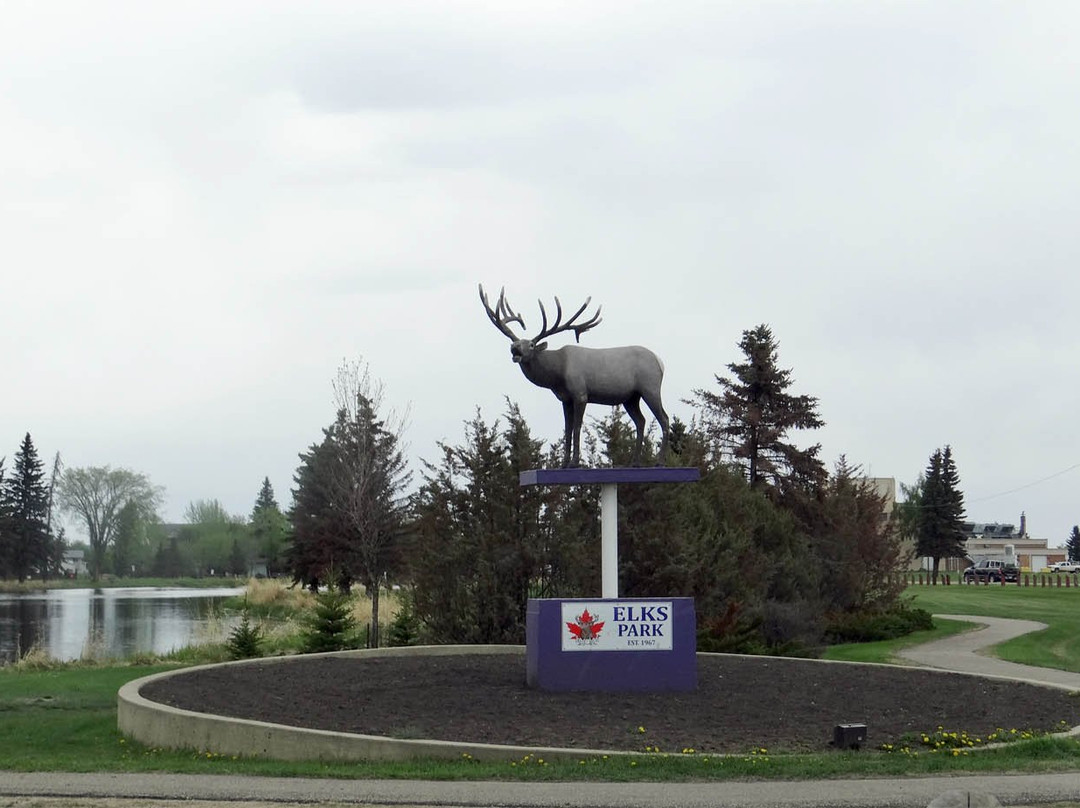 Vegreville Elks Park and Fish Pond-韦格勒维尔必去景点