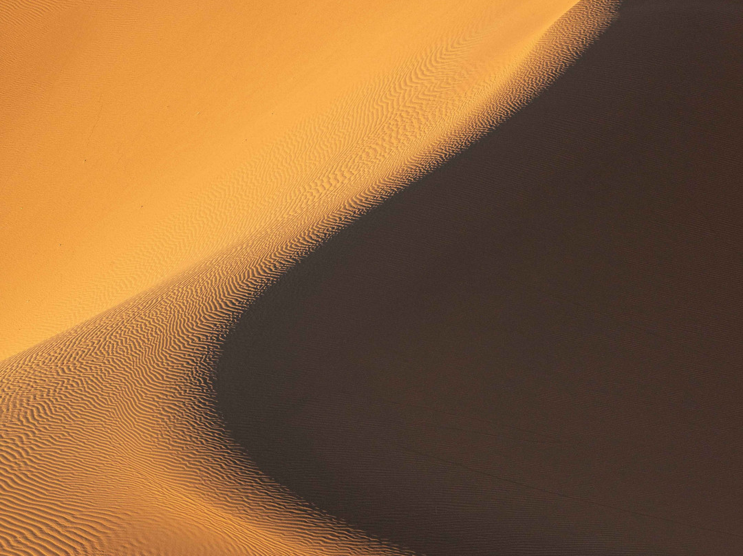 Rosa Frei Morocco Photo Tours景点图片