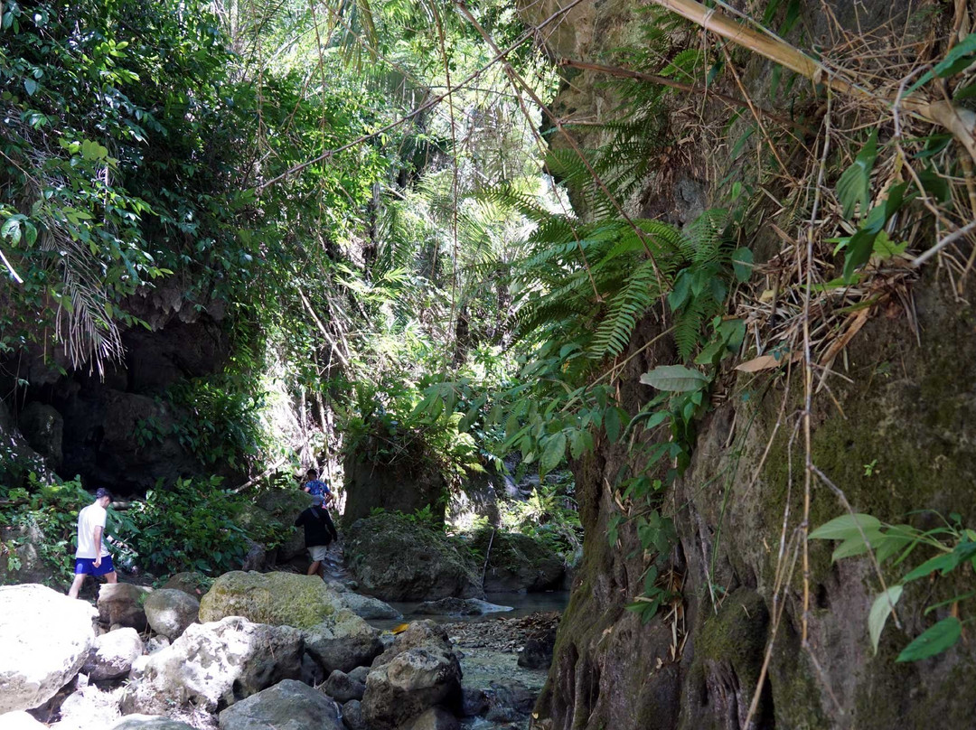 Dao Waterfalls-参波恩必去景点
