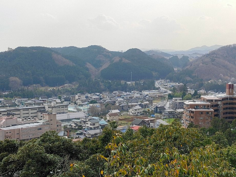 Mt. Tenran-饭能市必去景点