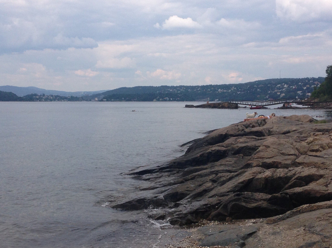 Fiskevollbukta Beach景点图片