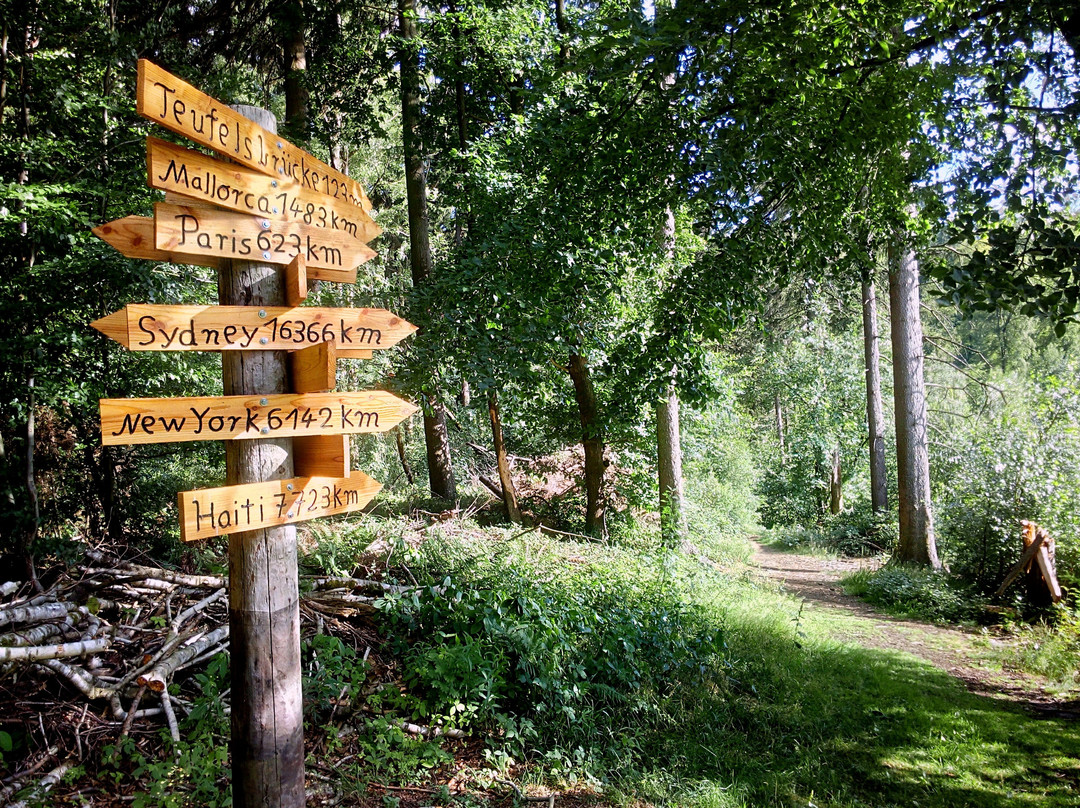 Deister Süntel MTB Verleih景点图片