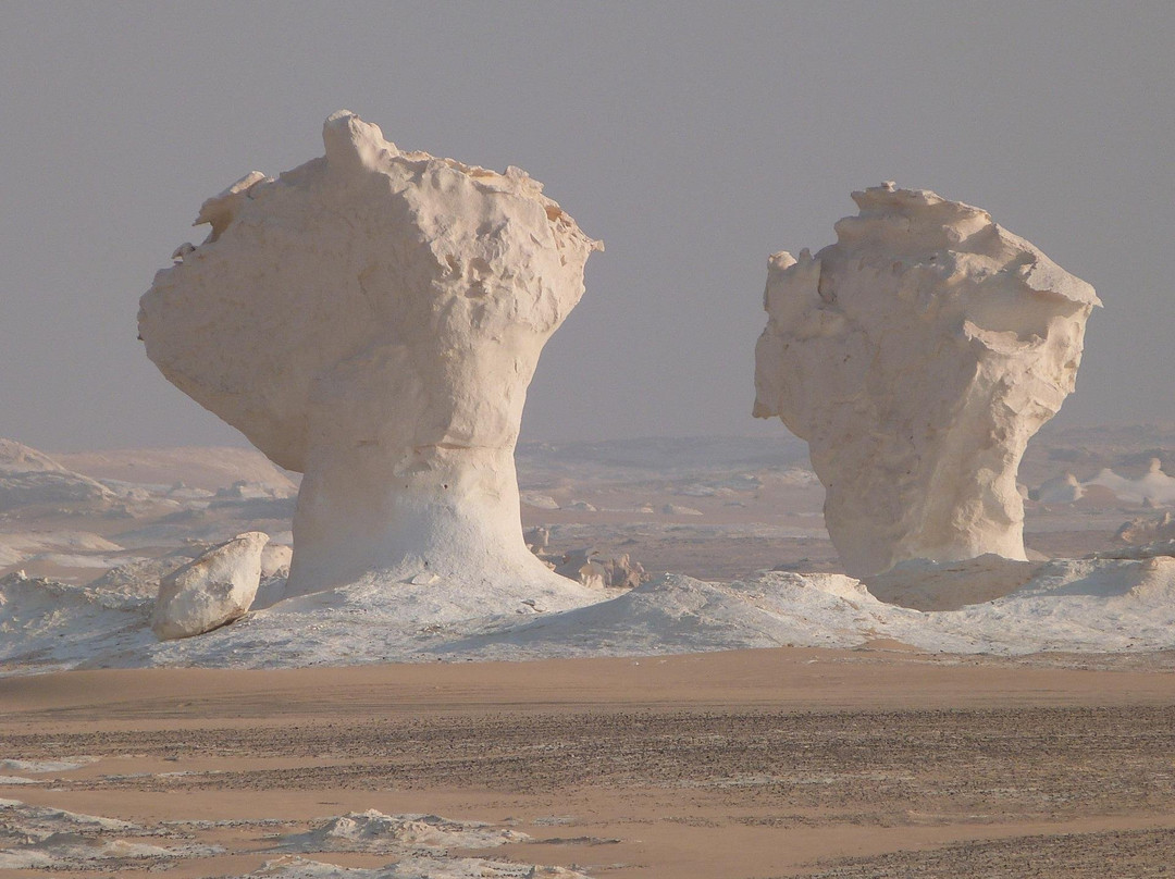 White Desert Overnight Tours