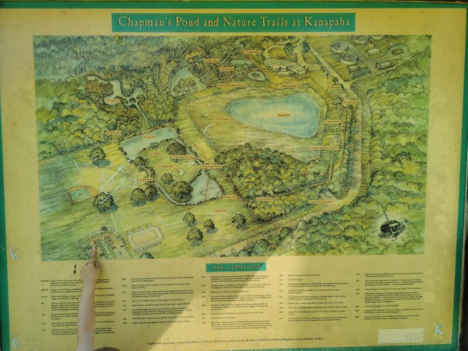 Kanapaha Park-盖恩斯维尔必去景点