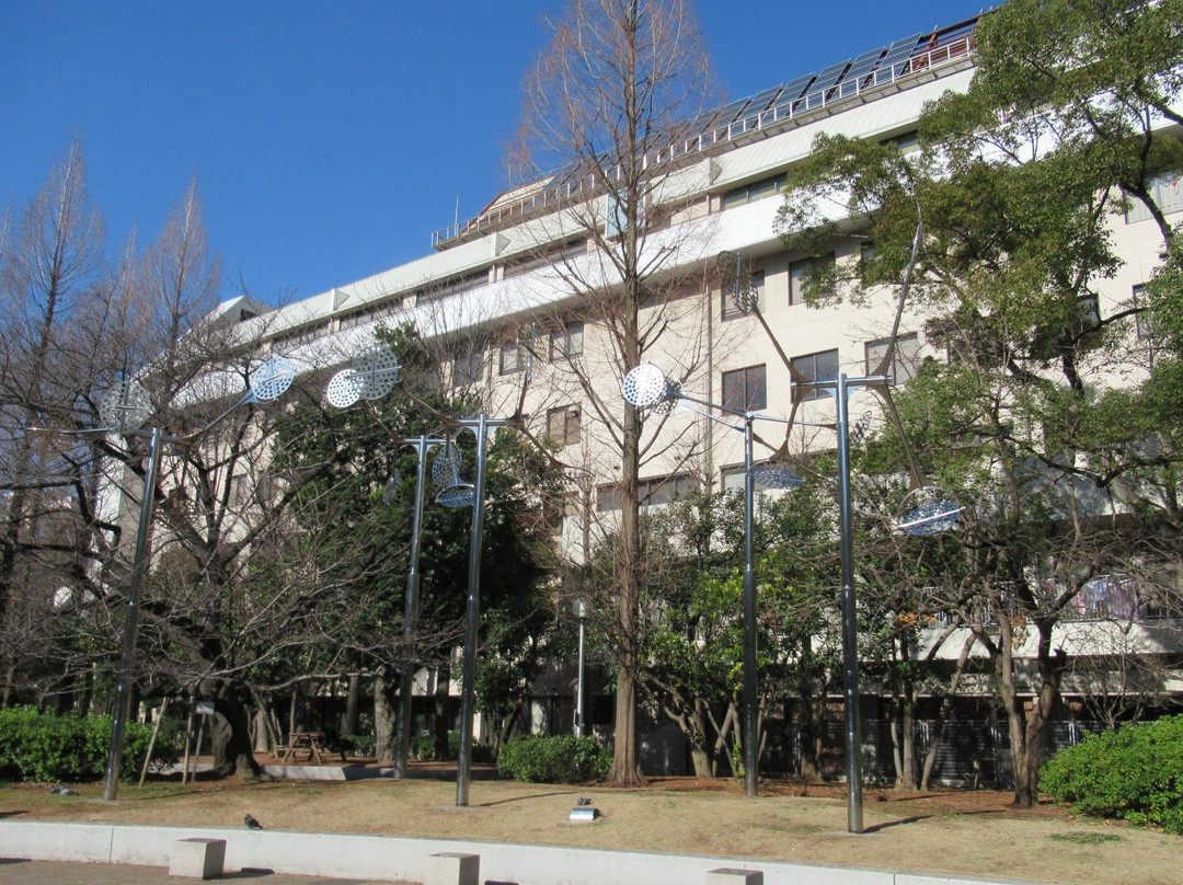 Akatsuki Park-Tsukiji必去景点