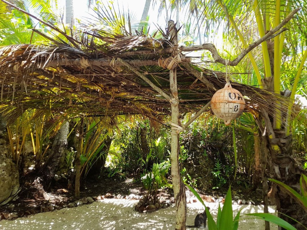 Tikehau Glamping & Camping