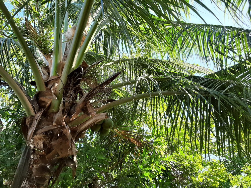 Chambres en Ville主图