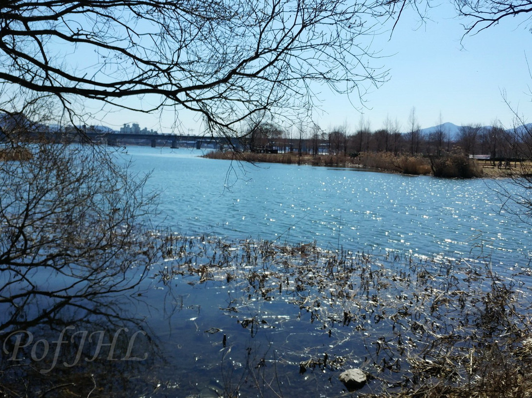 Water Garden-南杨州市必去景点