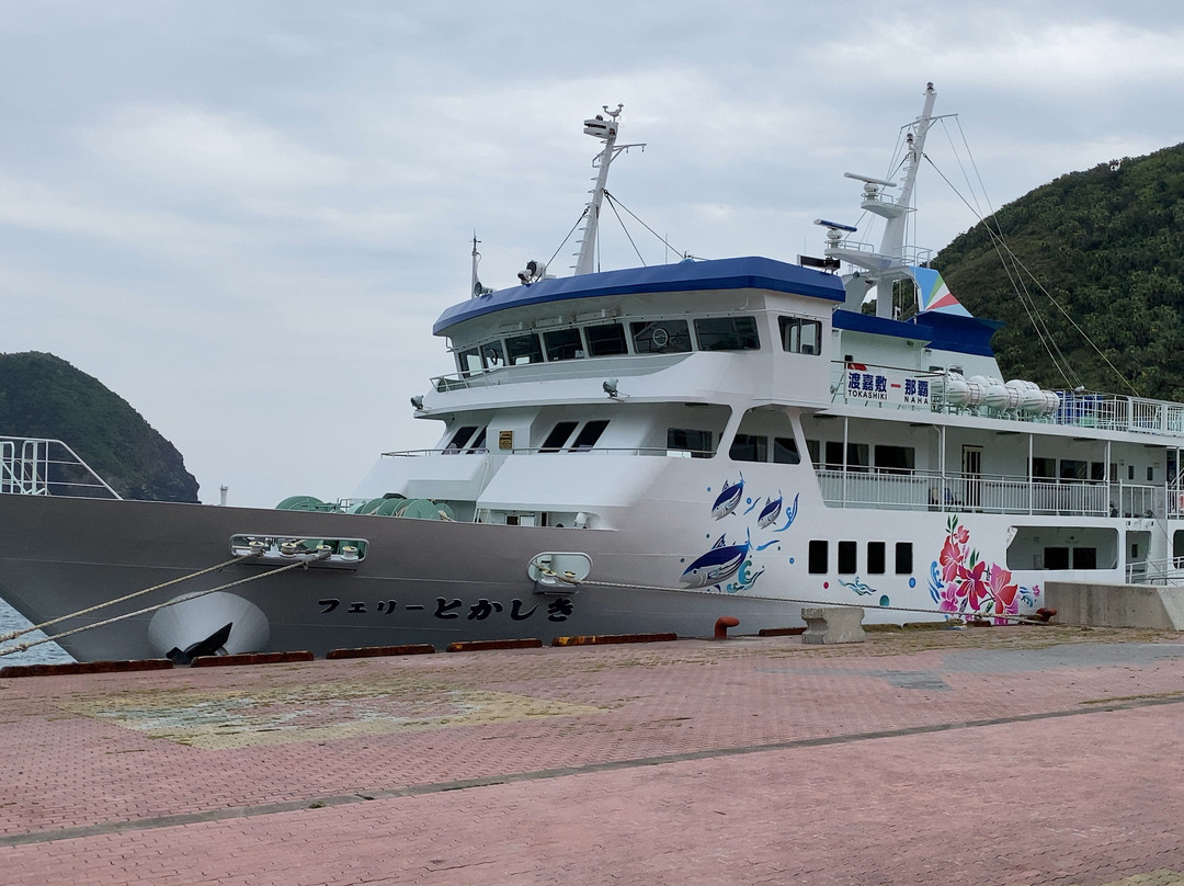 Ferry Tokashiki & Marin Liner Tokashiki景点图片