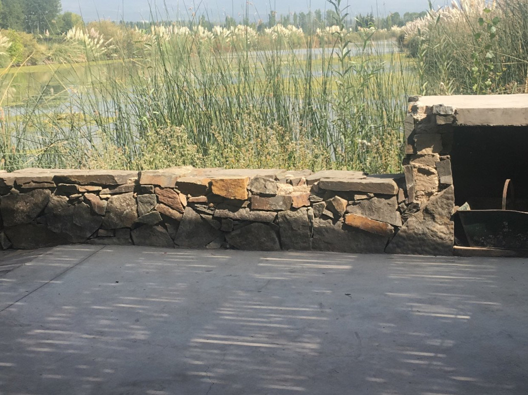 Ernesto Catena Vineyards-Vista Flores必去景点