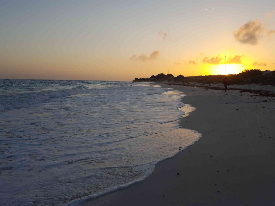 Hotel Pelicano主图