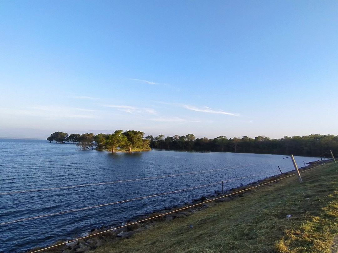 Udawalawe Dam-乌达瓦拉维国家公园必去景点